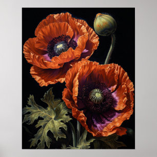 Sinaasappel Oosters Poppy Flowers Art Print Poster
