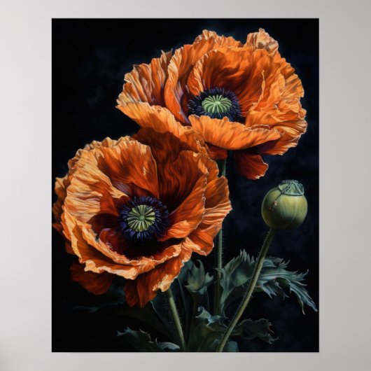Sinaasappel Oosters Poppy Flowers Art Print Poster (Voorkant)
