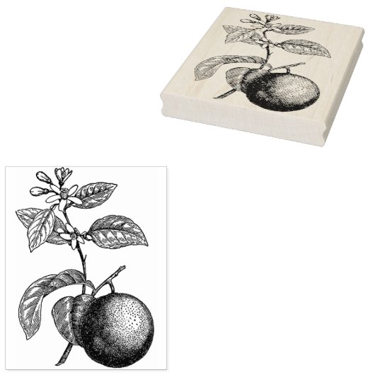 Sinaasappel op bijkantoor met bloesems rubberstempel (Gestempeld)