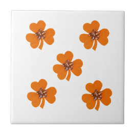 Sinaasappel, oranje vesten voor keuken tegeltje