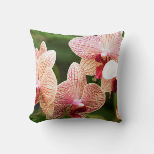 Sinaasappel Orchidee Hybride, Zuid-Afrika Kussen