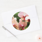 Sinaasappel Orchidee Hybride, Zuid-Afrika Ronde Sticker (Envelop)
