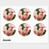 Sinaasappel Orchidee Hybride, Zuid-Afrika Ronde Sticker (Vel)