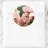 Sinaasappel Orchidee Hybride, Zuid-Afrika Ronde Sticker (Tas)
