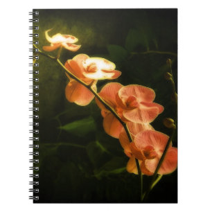 Sinaasappel Orchidee Notitieboek