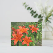 sinaasappel overdag briefkaart (Staand voorkant)