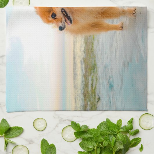 Sinaasappel Pommeren in Sandy Beach Theedoek (Gevouwen)