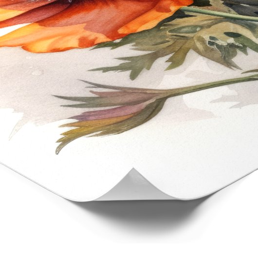 Sinaasappel Poppy Flowers Art Print Poster (Hoek)