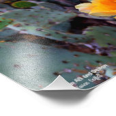 Sinaasappel Prickly Pear Cactus Bloesem Bloesem Foto Afdruk (Hoek)