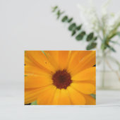 Sinaasappel Rain Daisy Briefkaart (Staand voorkant)