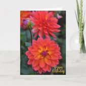 Sinaasappel, rood, geel Dahlia Flower Happy Birthd Kaart (Voorkant)