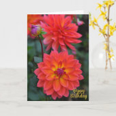 Sinaasappel, rood, geel Dahlia Flower Happy Birthd Kaart (Gele Bloem)