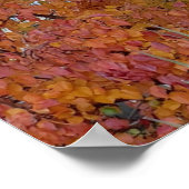 Sinaasappel, rood, Paars leder in de herfst van de Poster (Hoek)