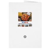 Sinaasappel Roodkepers Wenskaart (Achterkant)