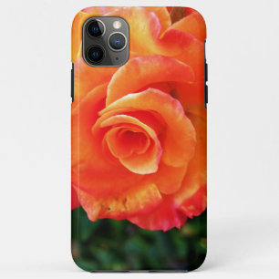 Sinaasappel Roos Fotografie Case-Mate iPhone Case