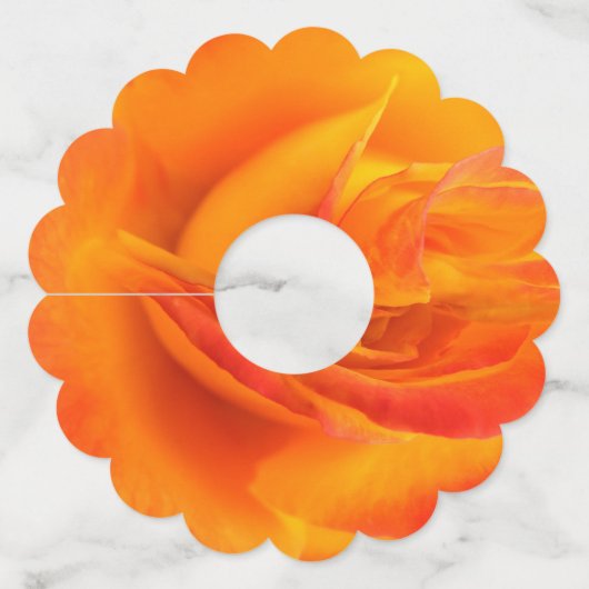 Sinaasappel Roos Papier Wijnglas Labels (Voorkant)