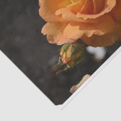 Sinaasappel Roos Struik Tissuepapier (Detail)