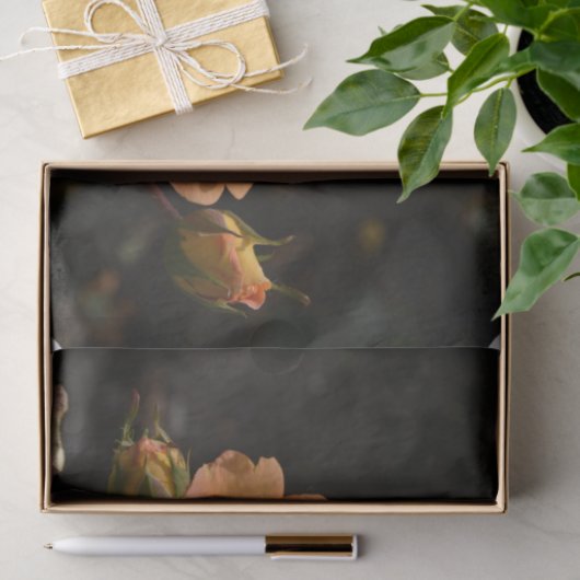 Sinaasappel Roos Struik Tissuepapier (Geschenk)