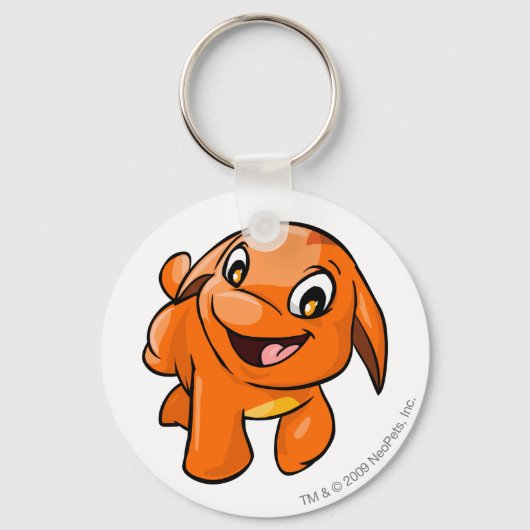 Sinaasappel Sleutelhanger (Voorkant)