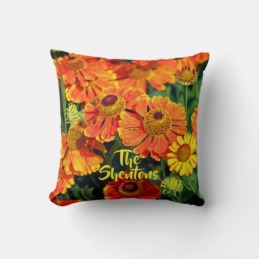 Sinaasappel Sneezeweed Helenium Tuin Bloemen Famil Kussen (Voorkant)