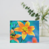 Sinaasappel Ster Bloem Briefkaart (Staand voorkant)