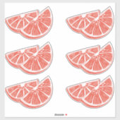 Sinaasappel Sticker (Vel)