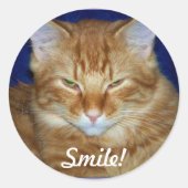 Sinaasappel Tabby Cat Smile Sticker (Voorkant)