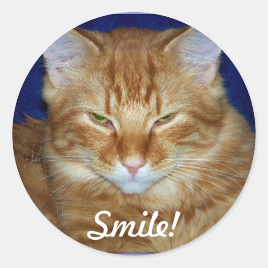 Sinaasappel Tabby Cat Smile Sticker (Voorkant)