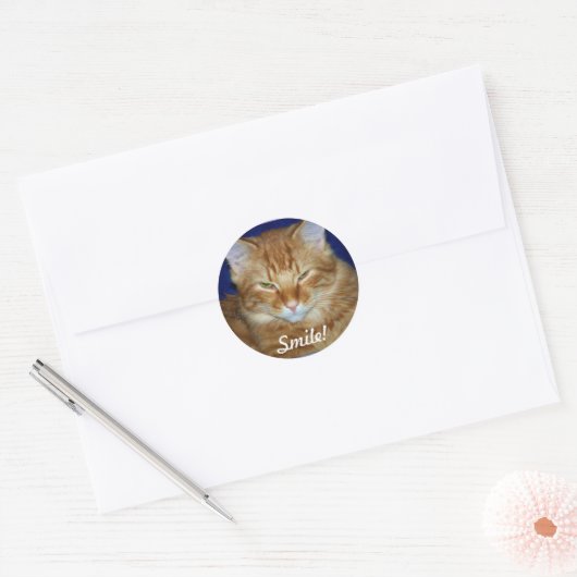 Sinaasappel Tabby Cat Smile Sticker (Envelop)