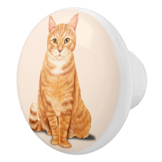 Sinaasappel Tabby Kat Op Maat Keramische Knop (Rechts)