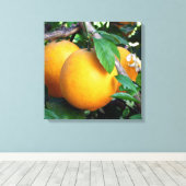 Sinaasappel - Tangelo Canvas Afdruk (Insitu (Houten vloer))