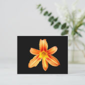 Sinaasappel Tiger Lily Briefkaart (Staand voorkant)