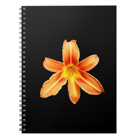 Sinaasappel Tiger Lily Spiral Notitieboek (Voorkant)