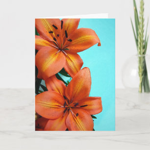 Sinaasappel tijgerbloemen wenskaart kaart