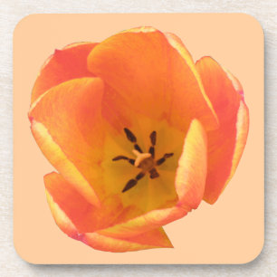 Sinaasappel Tulip Cork Onderzetter