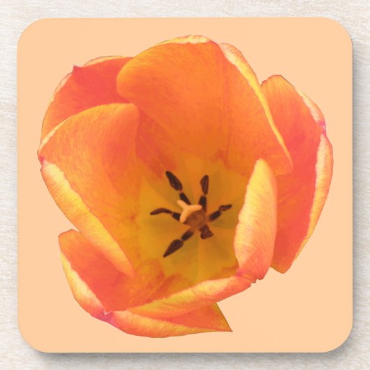 Sinaasappel Tulip Cork Onderzetter (Voorkant)
