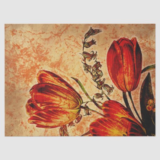 Sinaasappel Tulip ontkoppeling van Floral Grunge Tissuepapier (Voorkant)