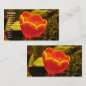 Sinaasappel Tulip Visitekaartje (Voorkant / Achterkant)
