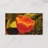 Sinaasappel Tulip Visitekaartje (Achterkant)