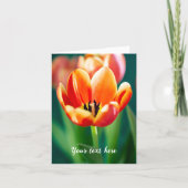 Sinaasappel Tulp Wenskaart Kaart (Voorkant)