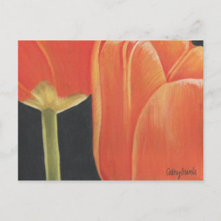 sinaasappel tulpen briefkaart