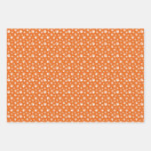 SINAASAPPEL WITTE ZWARTE HOND KAT PET PAW PRINTS INPAKPAPIER VEL (Voorkant)