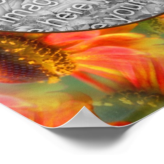 Sinaasappel Zinnia Flower Lijst Creëer Uw eigen fo Poster (Hoek)