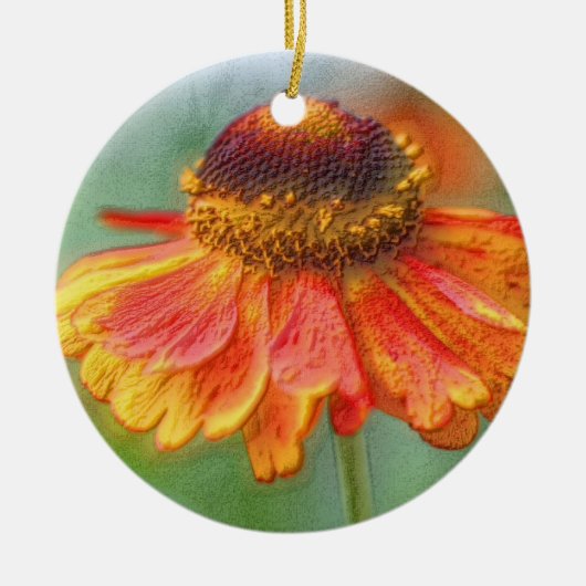 Sinaasappel Zinnia Pencil Art Flower Ornament (Voorkant)