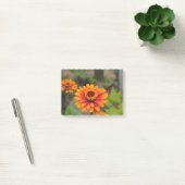  Sinaasappel Zinnia Post-it® Notes (Kantoor)