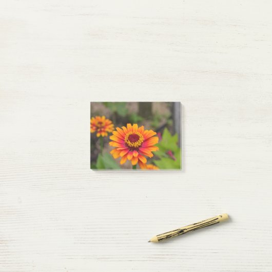  Sinaasappel Zinnia Post-it® Notes (Op bureau)