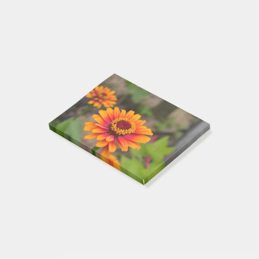  Sinaasappel Zinnia Post-it® Notes (Schuin)