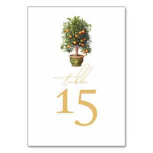 Sinaasappel zomerbruiloft kaart