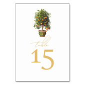 Sinaasappel zomerbruiloft kaart (Voorkant)