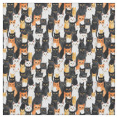 Sinaasappel Zwart Wit Katten Stof (Close Up)